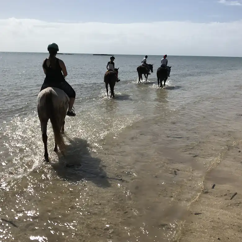 10 / 41: Horse Riding on the Bahamas in the Sea!