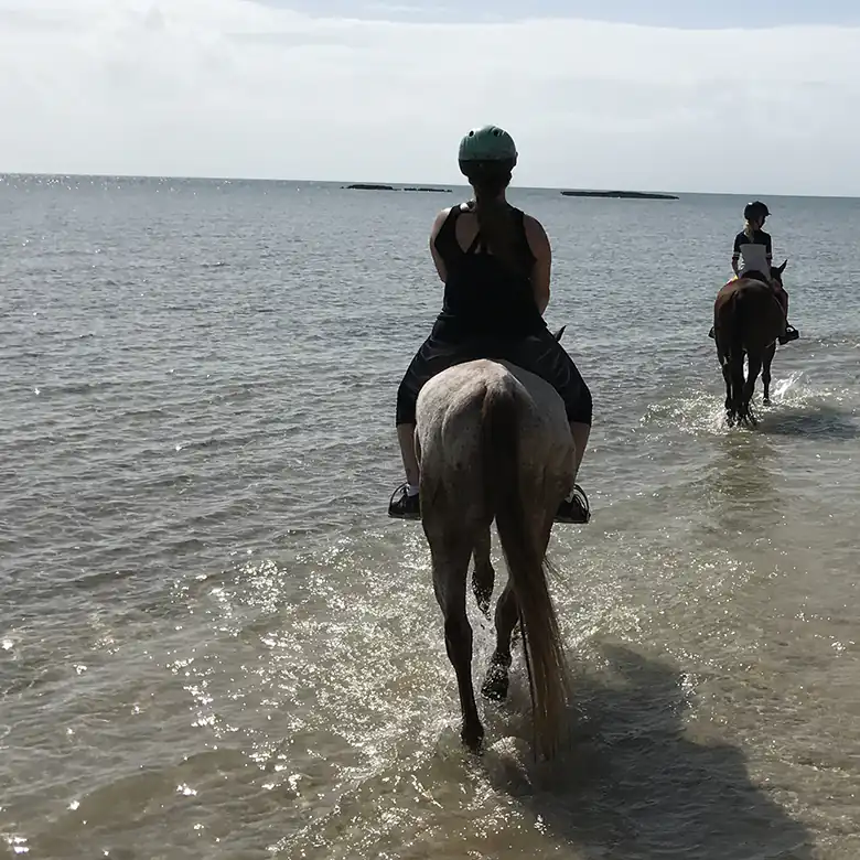 11 / 41: Horse Riding on the Bahamas in the Sea!