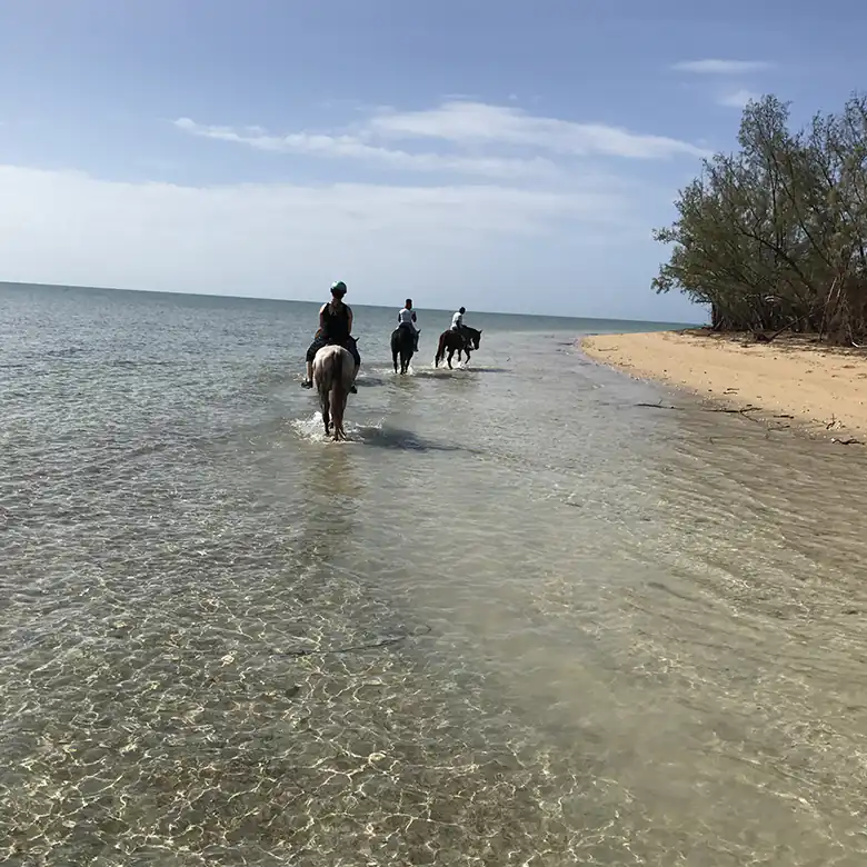 12 / 41: Horse Riding on the Bahamas in the Sea!