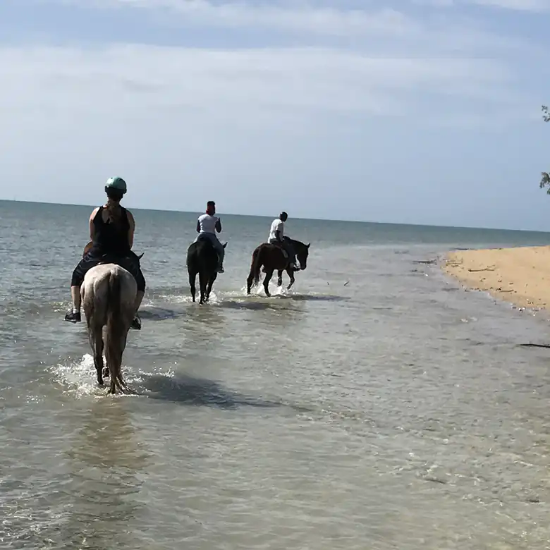 13 / 41: Horse Riding on the Bahamas in the Sea!