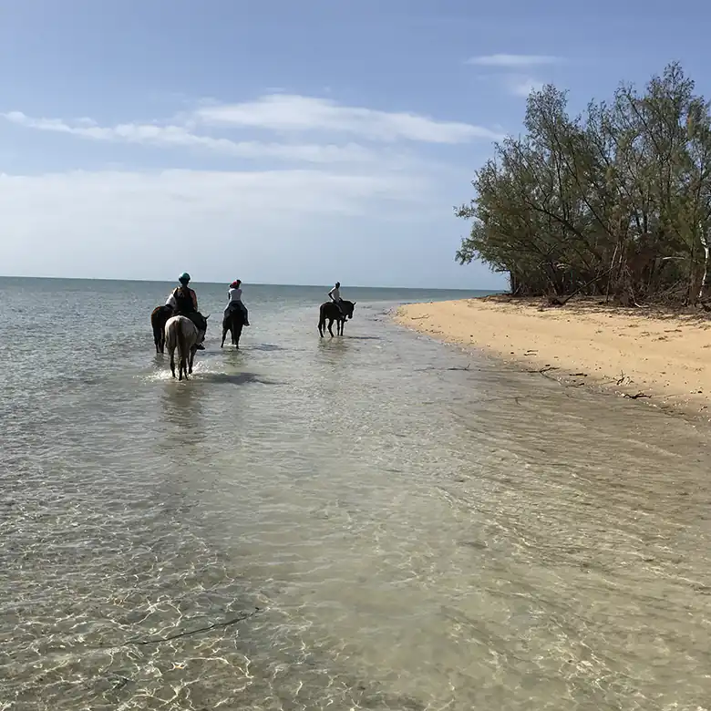14 / 41: Horse Riding on the Bahamas in the Sea!