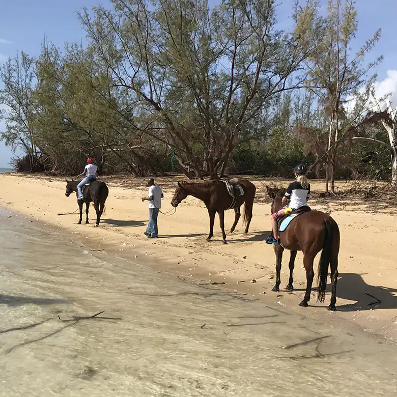 16 / 41: Horse Riding on the Bahamas in the Sea!