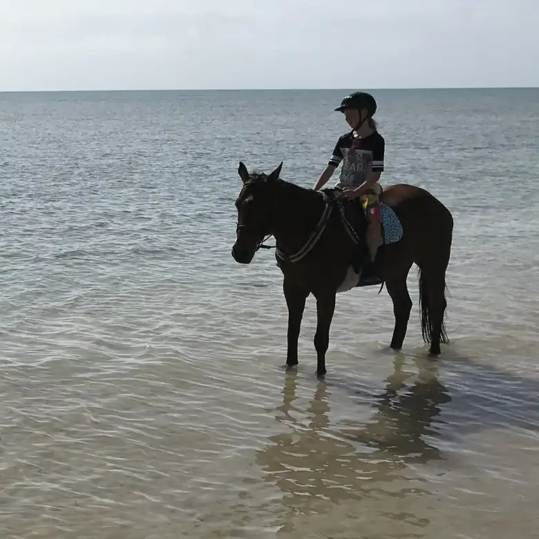 17 / 41: Horse Riding on the Bahamas in the Sea!