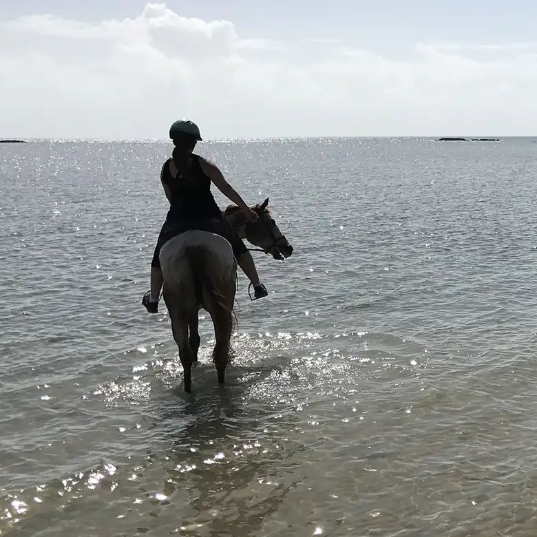 18 / 41: Horse Riding on the Bahamas in the Sea!