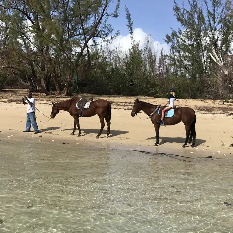 19 / 41: Horse Riding on the Bahamas in the Sea!