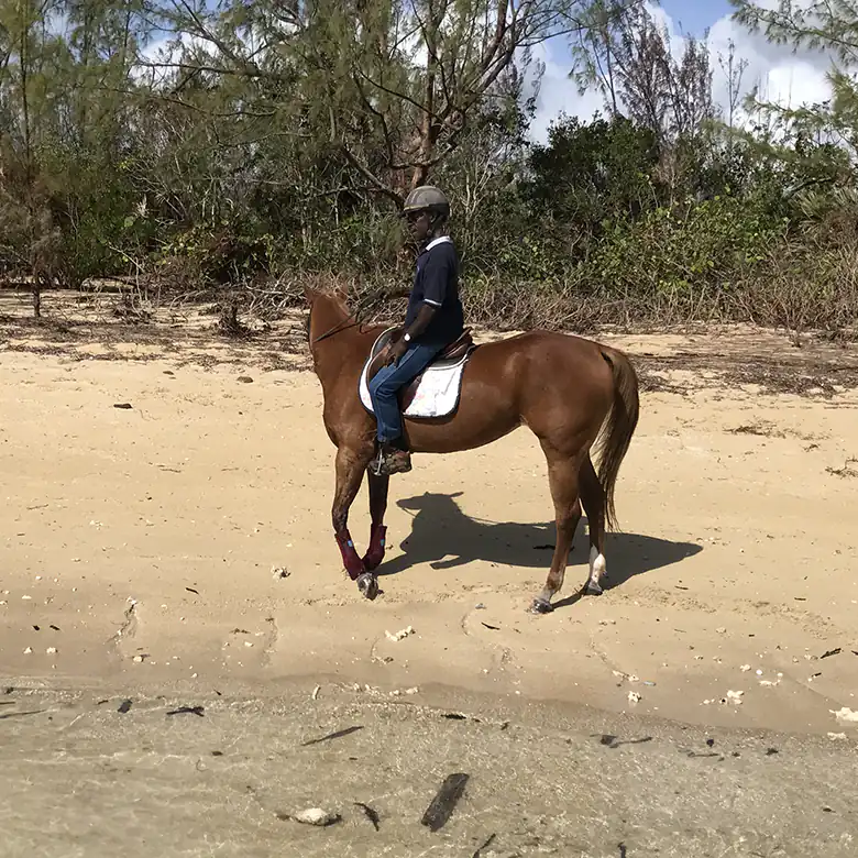20 / 41: Horse Riding on the Bahamas in the Sea!