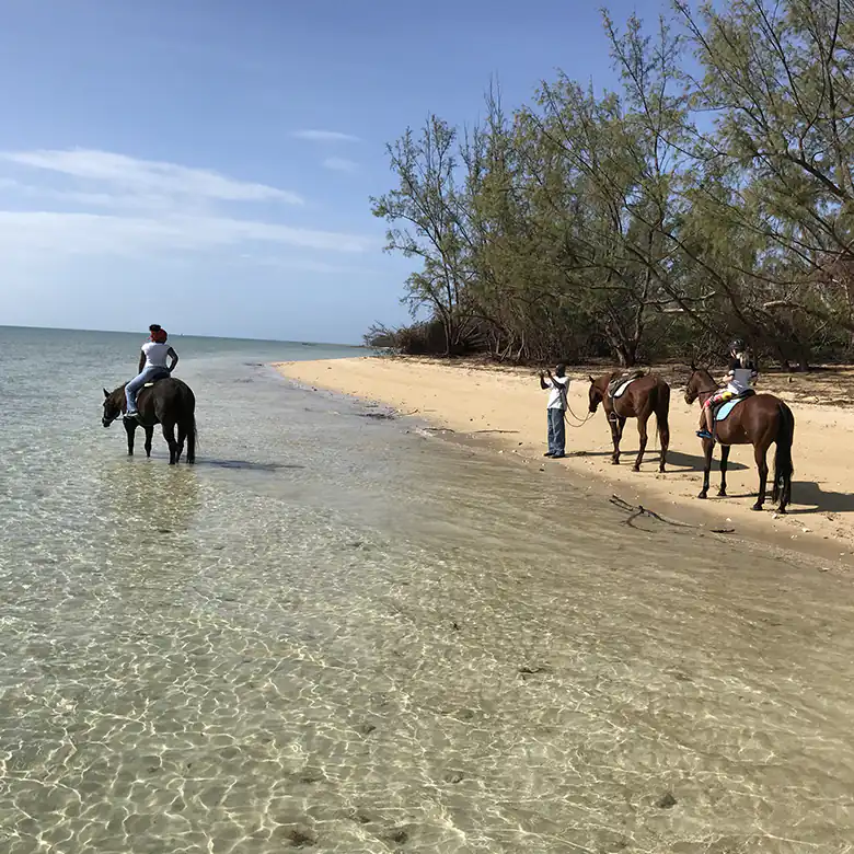 21 / 41: Horse Riding on the Bahamas in the Sea!