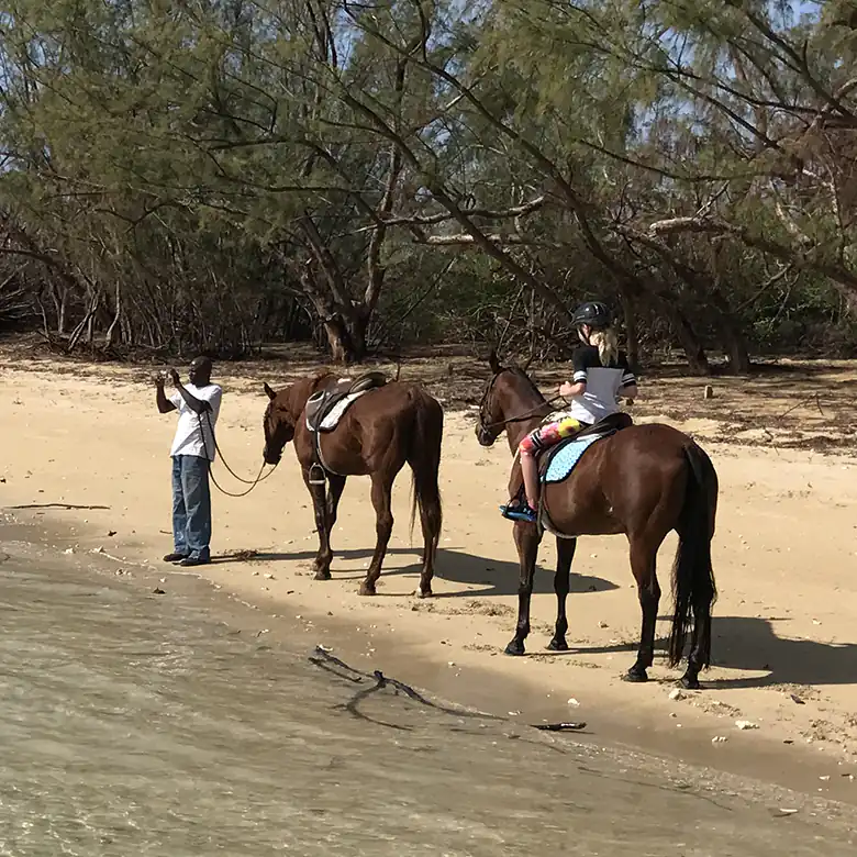 22 / 41: Horse Riding on the Bahamas in the Sea!