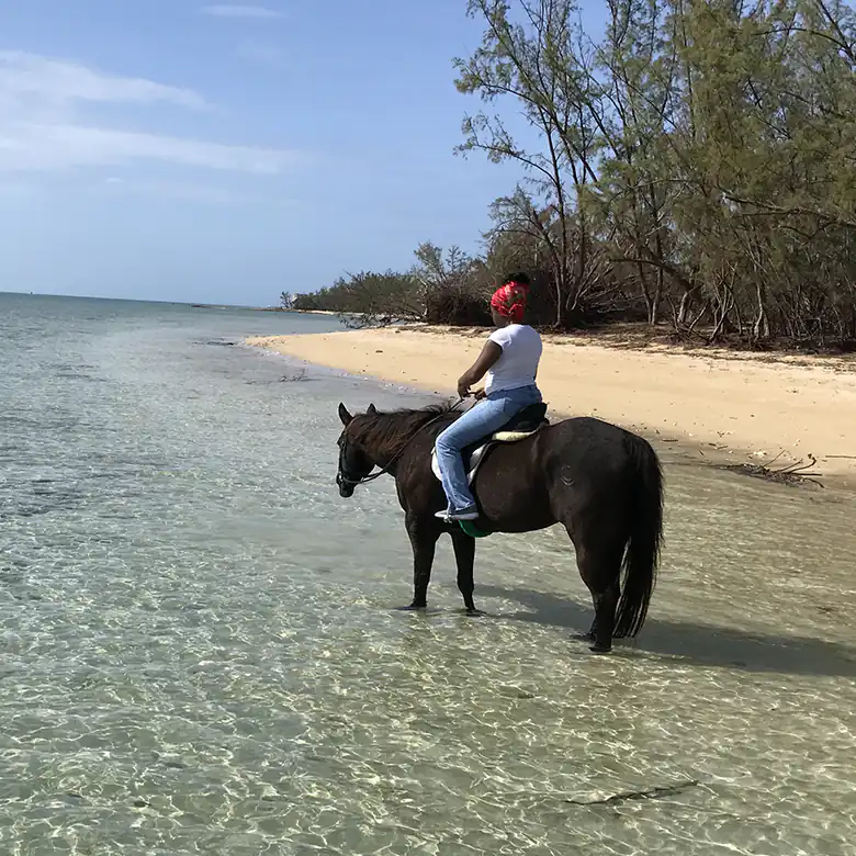 23 / 41: Horse Riding on the Bahamas in the Sea!