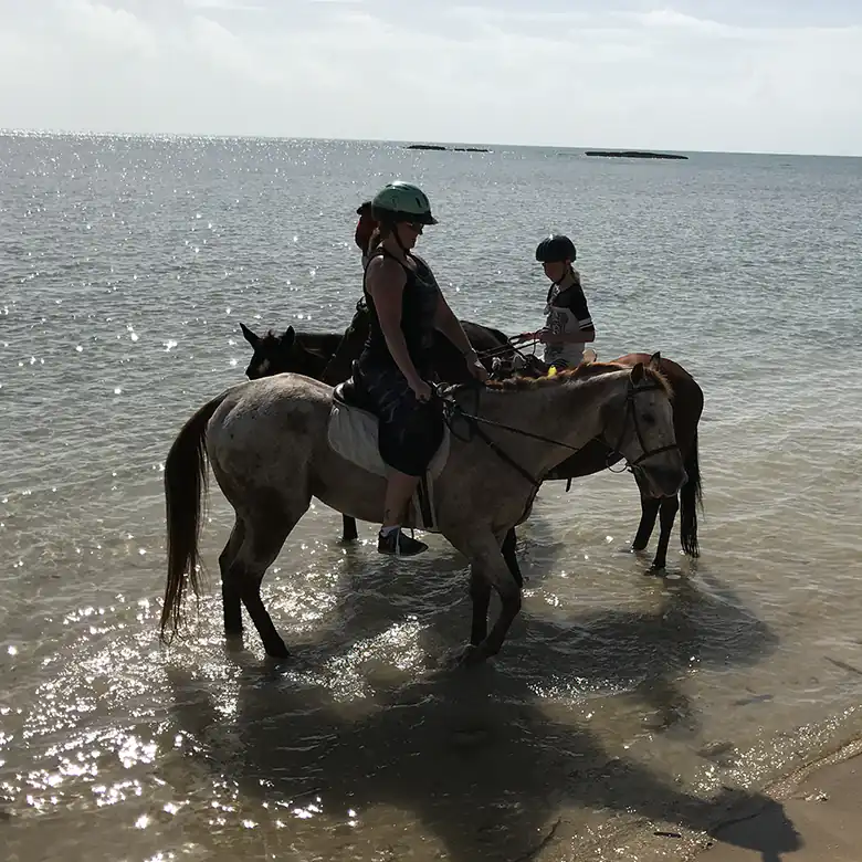 24 / 41: Horse Riding on the Bahamas in the Sea!