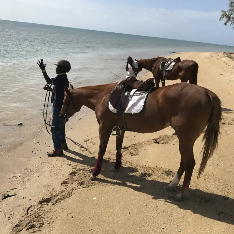 25 / 41: Horse Riding on the Bahamas in the Sea!