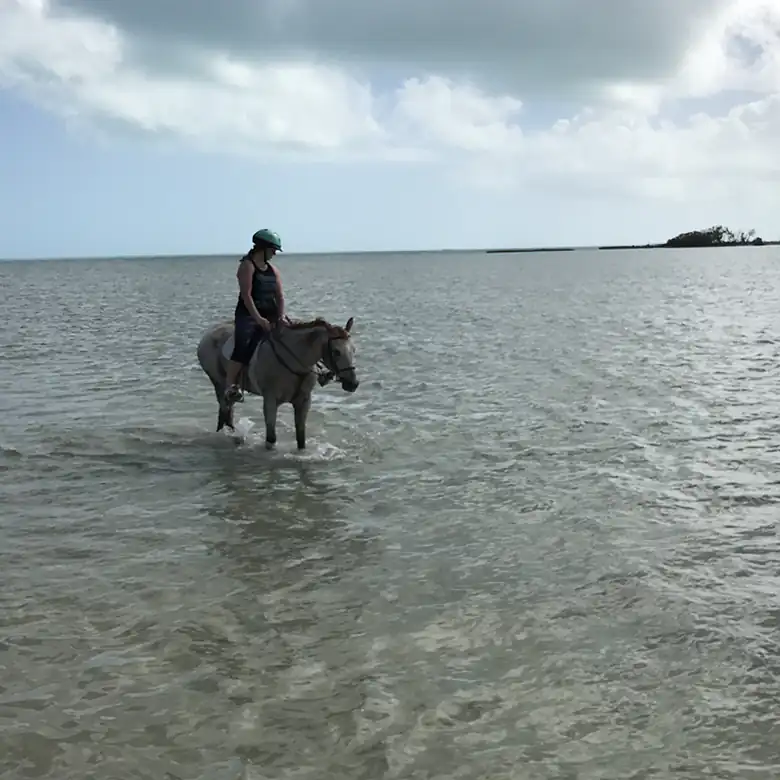26 / 41: Horse Riding on the Bahamas in the Sea!