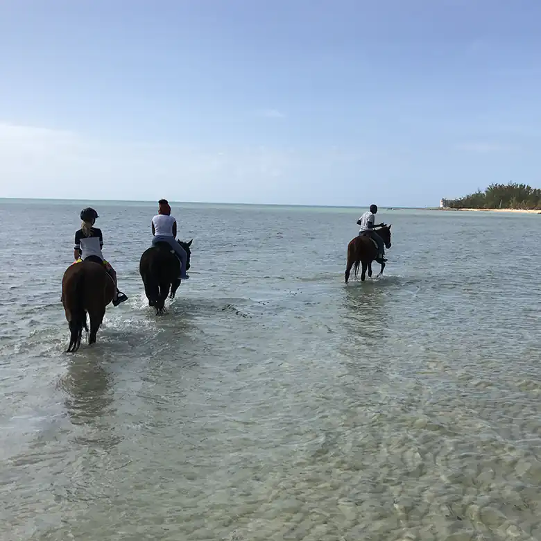 27 / 41: Horse Riding on the Bahamas in the Sea!