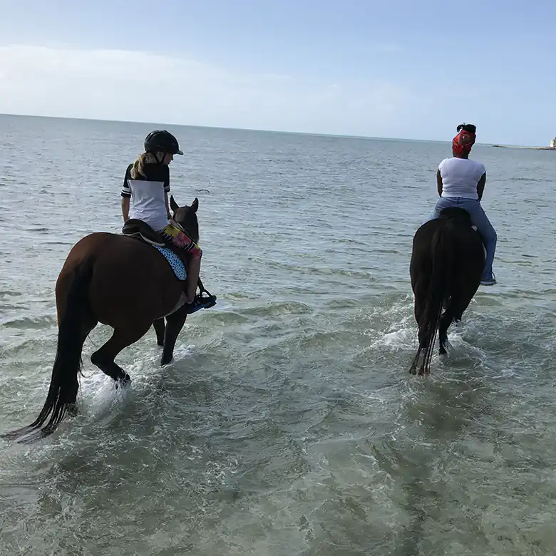 29 / 41: Horse Riding on the Bahamas in the Sea!