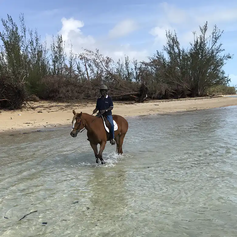 30 / 41: Horse Riding on the Bahamas in the Sea!