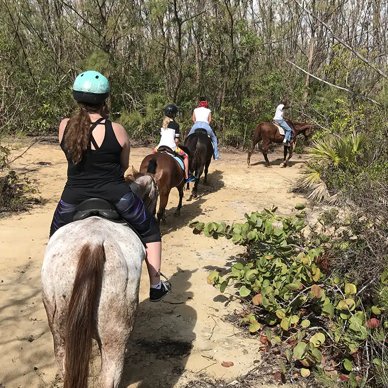 32 / 41: Horse Riding on the Bahamas in the Sea!