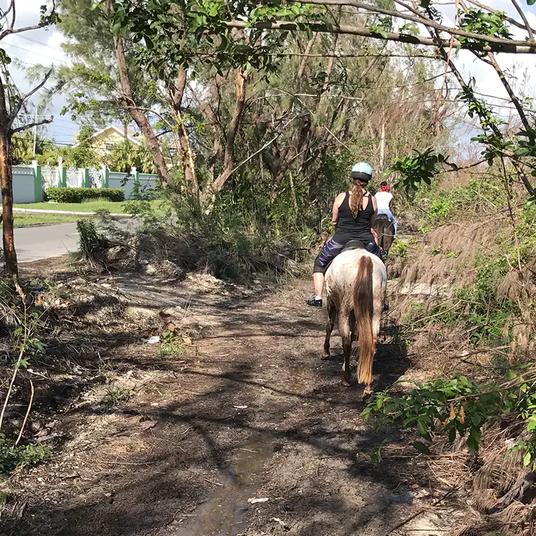 33 / 41: Horse Riding on the Bahamas in the Sea!