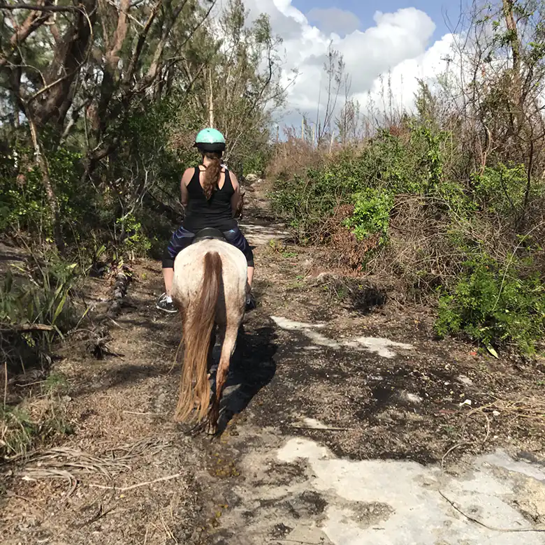 34 / 41: Horse Riding on the Bahamas in the Sea!