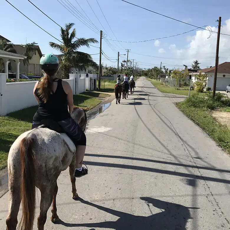 35 / 41: Horse Riding on the Bahamas in the Sea!