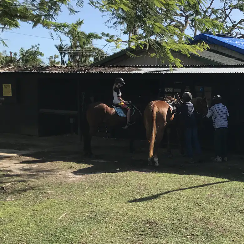 38 / 41: Horse Riding on the Bahamas in the Sea!