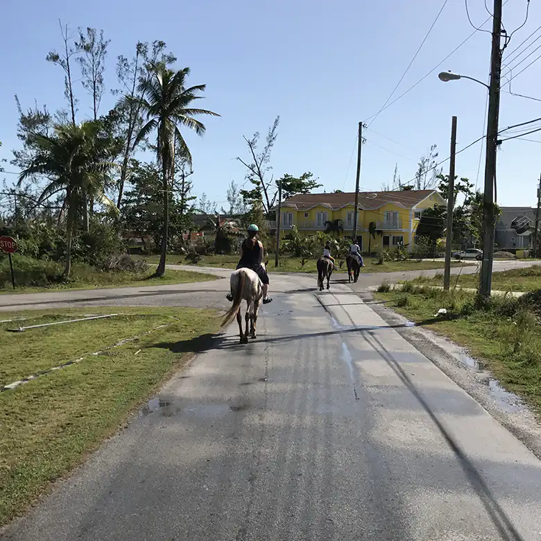 4 / 41: Horse Riding on the Bahamas in the Sea!