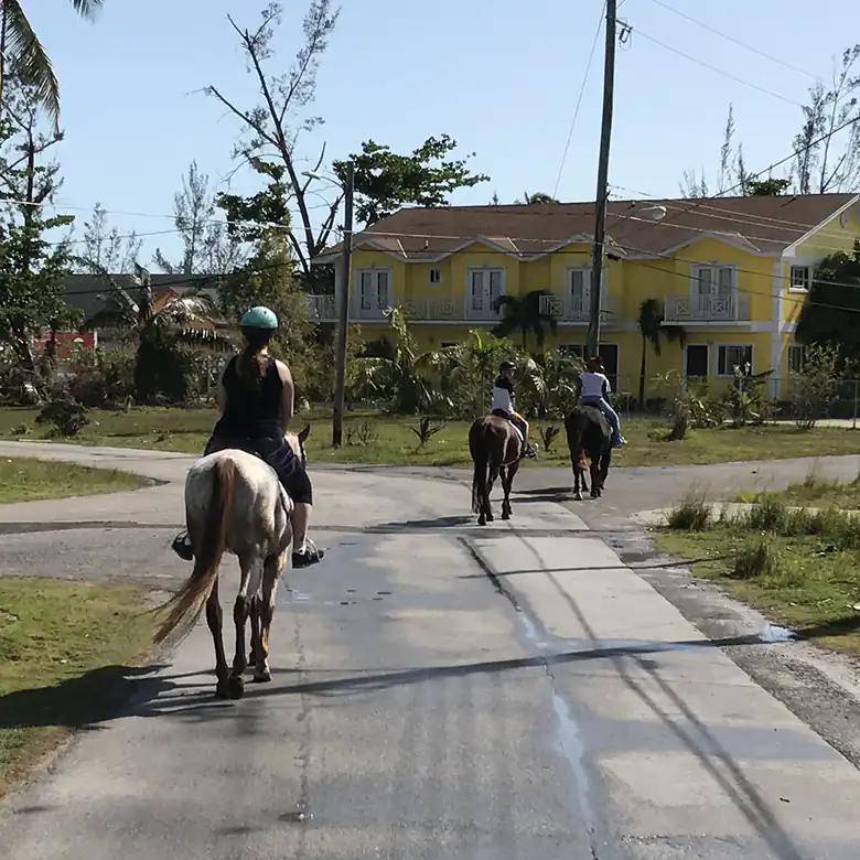 5 / 41: Horse Riding on the Bahamas in the Sea!