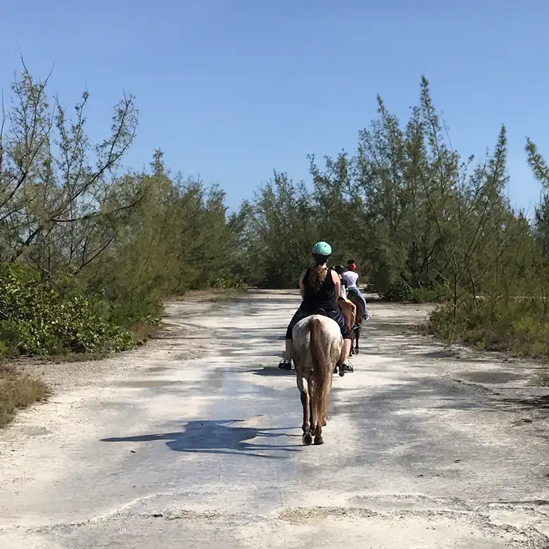 6 / 41: Horse Riding on the Bahamas in the Sea!