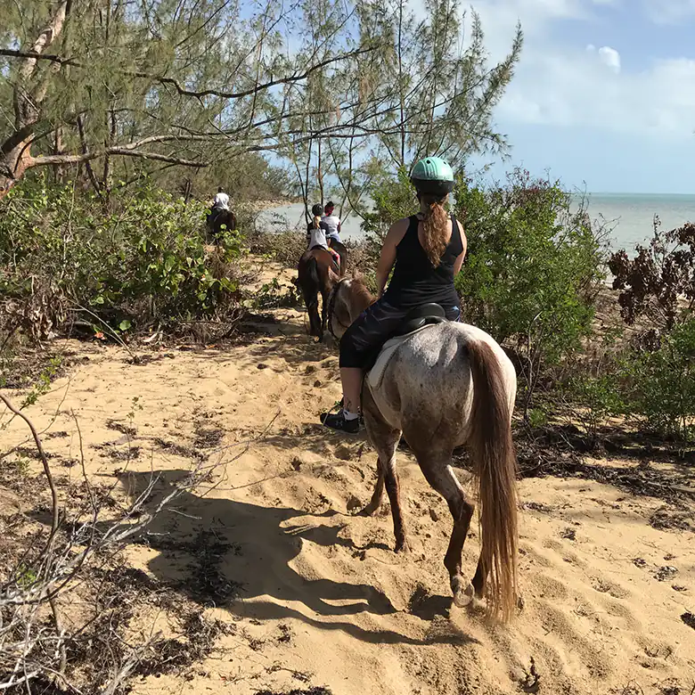 7 / 41: Horse Riding on the Bahamas in the Sea!