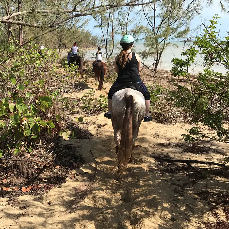 9 / 41: Horse Riding on the Bahamas in the Sea!