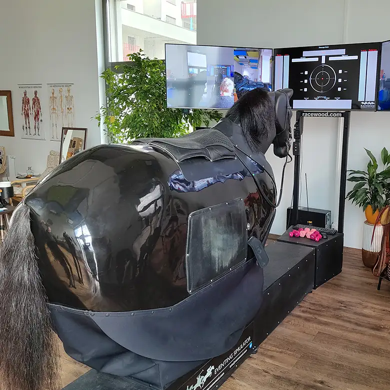 1 / 19: Training am Reitsimulator