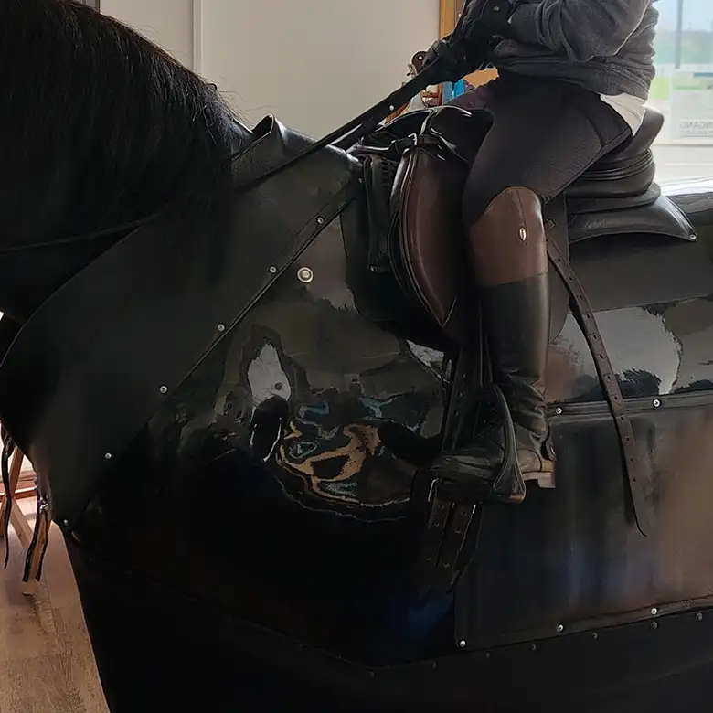10 / 19: Training am Reitsimulator
