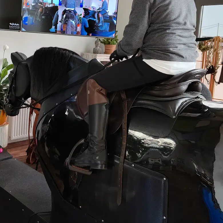 11 / 19: Training am Reitsimulator