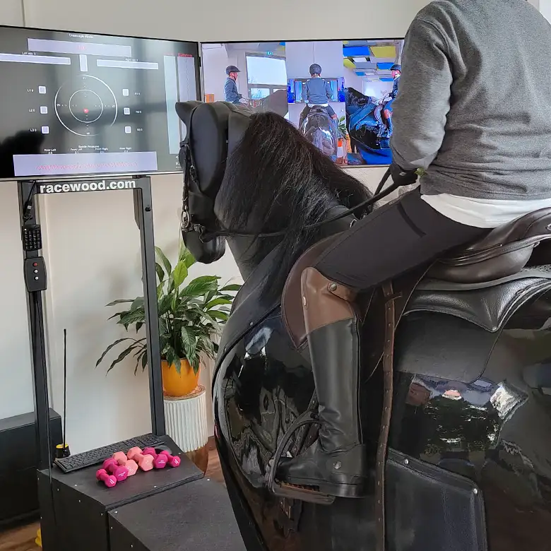 12 / 19: Training am Reitsimulator