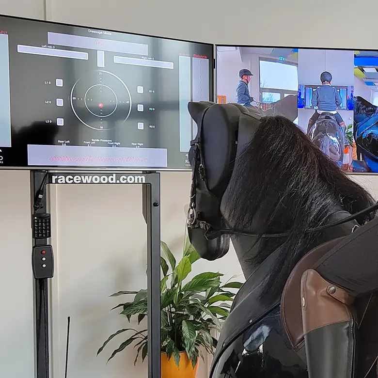 13 / 19: Training am Reitsimulator