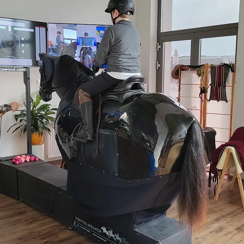 14 / 19: Training am Reitsimulator