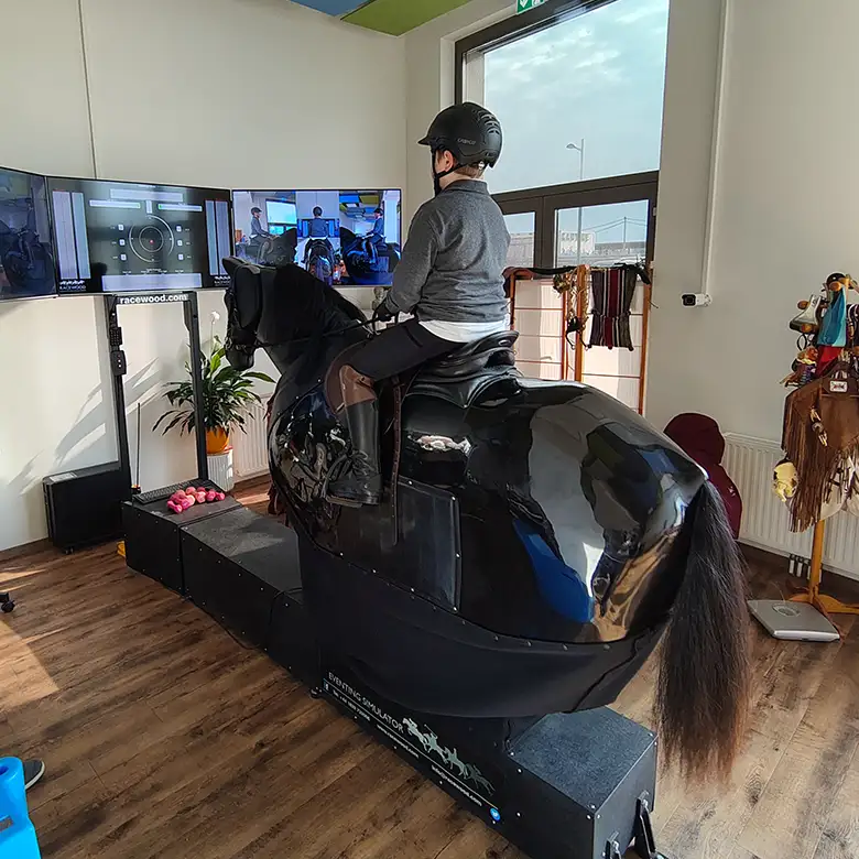 15 / 19: Training am Reitsimulator