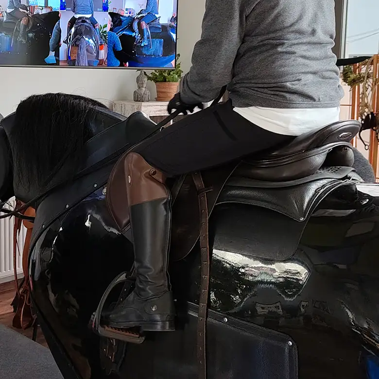 16 / 19: Training am Reitsimulator