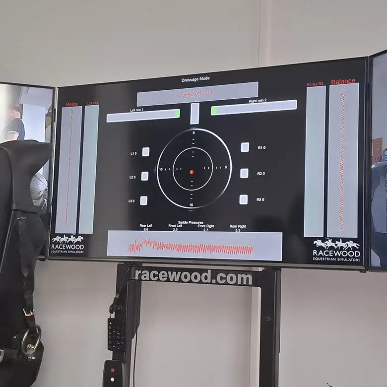 19 / 19: Training am Reitsimulator