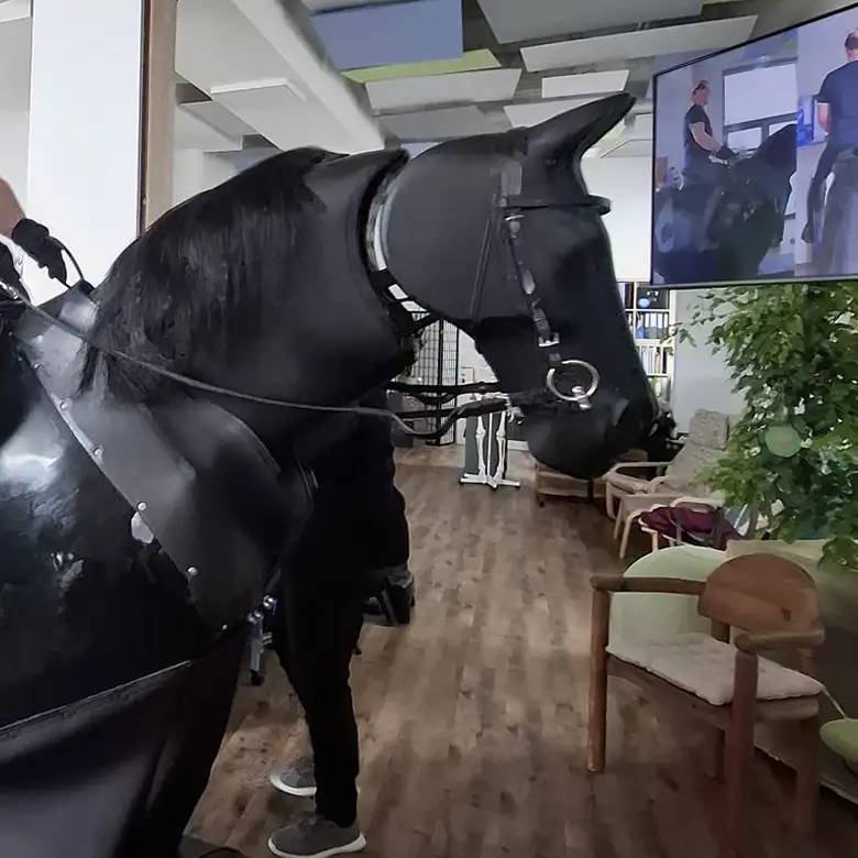 3 / 19: Training am Reitsimulator