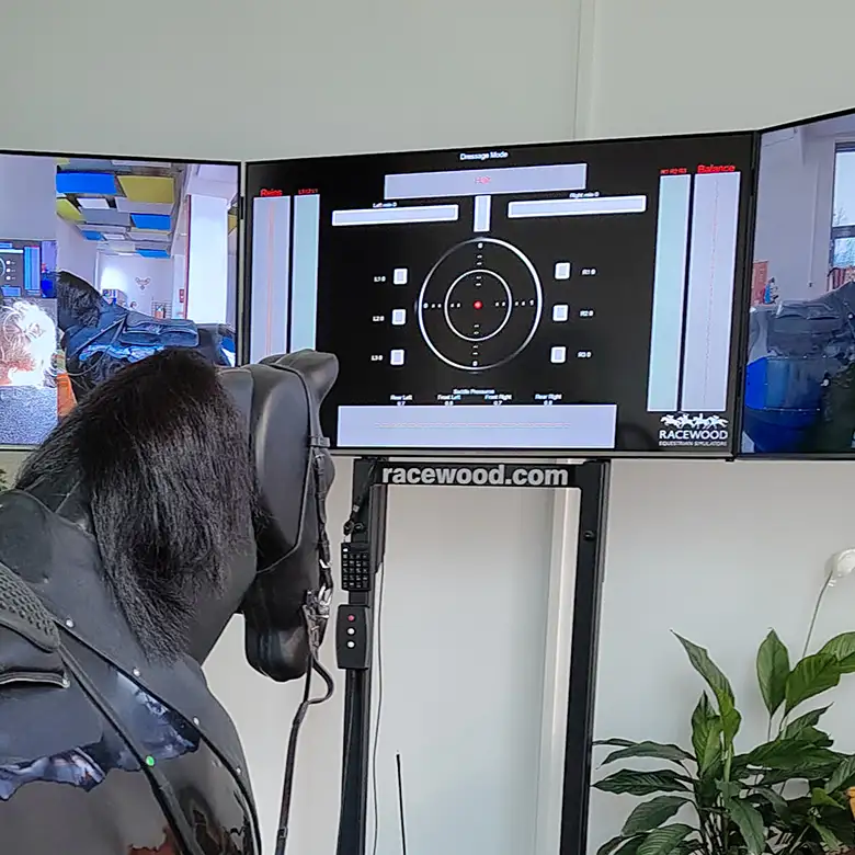 6 / 19: Training am Reitsimulator