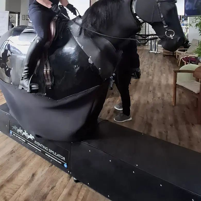 7 / 19: Training am Reitsimulator
