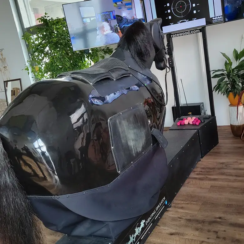 8 / 19: Training am Reitsimulator